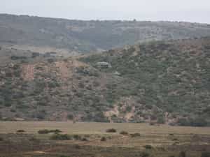Bou Bou Lodge is situated in the heart of Amakhala Game Reserve. Totally isolated and the perfect hidaway