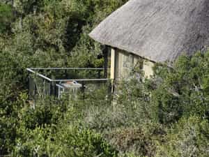 The chalet totally submerged in the bush offers total privacy