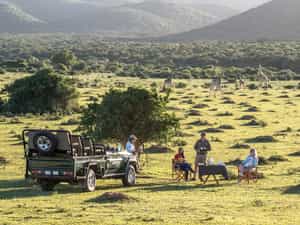 Guests enjoy twice daily game drives with their professionally qualified guide and can also enjoy guided walks and river safaris.