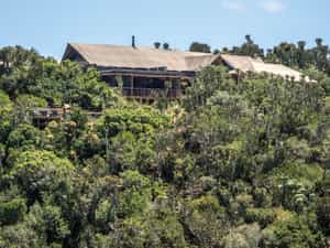 Settlers Drift offers 5-star luxury in a remote part of the Kariega wilderness.