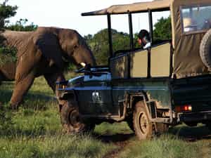 Sibuya is home to nearly 400 species of birds and 45 species of game including the “Big Five”.