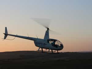 Enjoy a bird's-eye view of wildlife with a scenic helicopter flight