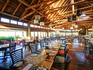 Serengetis Restaurant