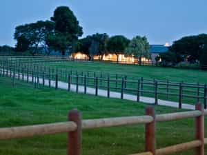 View from paddocks