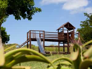 Jungle gym