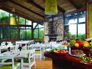 Enjoy delicious buffet meals and panoramic views at the Main Lodge restaurant.