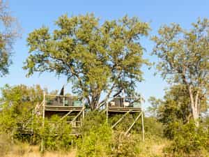 Raised tented decks for sleeping out under the stars. An arranged activity for 1 night from Plains Camp