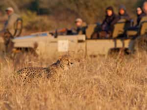 Private Amakhosi Game vehicle