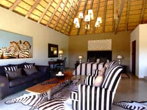 Zebra suite 
