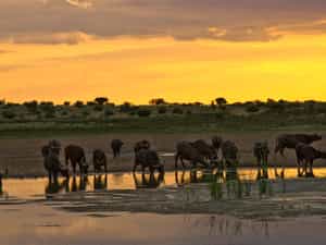 Game viewing at its best
