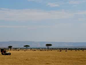 Alone on the plains of the Lamai