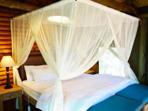The furnishing are classic: it consists of a double or two single beds, (2 of the tents are suites / family