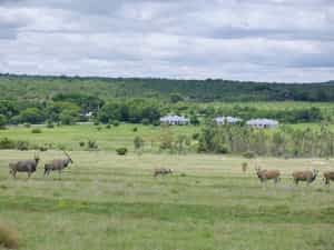 Experience the spectacular views from Chiranda
