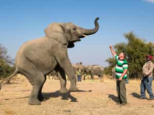 With myriad activities from which to choose Protea Zebula Lodge has something for everyone. It really depends on how you define the perfect holiday. Our role is to provide you with plenty of leisure opportunities so that you really are spoilt for choice. We offer the following: Game Drives, Game Walks, Elephant Interactions & Safaris, Quad Safaris, Horseback Safaris,Archery, Volleyball, Mountain Bikes, Paintball, Lion, Tiger & Cheetah Interactions, Cheetah Run, Teambuilding, Family Activities, Clay Target Shooting, Fishing, Tennis & Squash Courts, Putt putt.