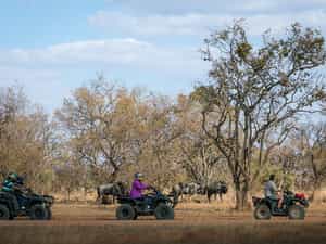 Protea Zebula Lodge is a stunning and unique lifestyle destination where guests can expect spectacular, well-appointed accommodation and legendary friendly service and hospitality. 