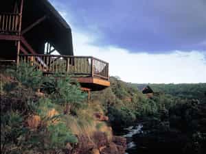 Leopard Tent views