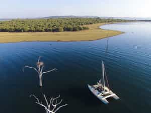 Sailing to Starvation Island in Musango's 23 foot catamaran and experience the abundant wildlife and birdlife in the area.