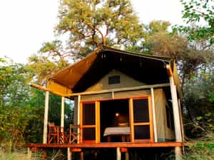 Motswiri has 5 luxurious tents accommodating 10 guests in total in large, airy tents on decking overlooking the Selinda Spillway. Each tent has ensuite facilities and hot and cold running water