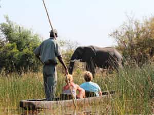 As well as horse riding and walking trails, we offer mekoros, boating, game drives and canoeing