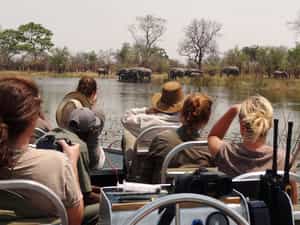 Game viewing from one of the 2 specially modified boats. Game in the area includes excellent elephant, hippo, buffalo, lion, leopard, cheetah and wild dog as well as all the plains game