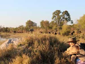 Motswiri has built a reputation for offering first class walking safaris. A minimum of 3 nights and with a combination of fly camp for 5 nights or more.