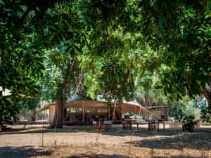 Little Ruckomechi’s scenic location epitomises Mana Pools National Park in all its abundance