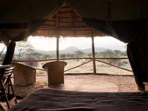 View from inside the tent