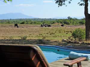 Pool deck with view of the waterhole 