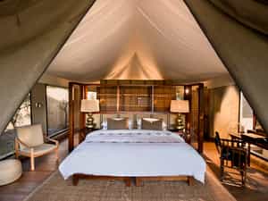 Tented Suite