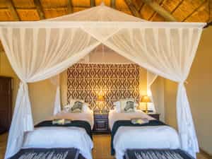 Superior Suite: Zebra Room