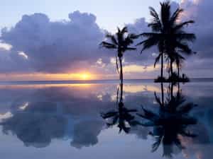 Sun rise on the pool