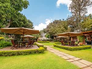 Landscaped gardens 