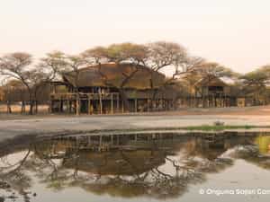 Overlooking a spectacular waterhole