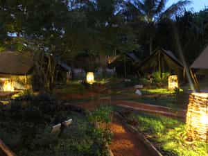 The 'Safari' garden by night