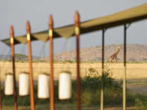 The mobile camp can be moved to any of the premier destinations throughout Kenya.