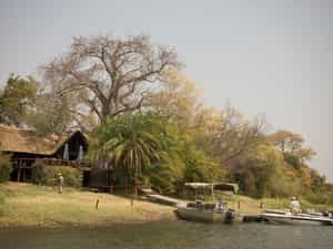 Kaza Safari Lodge is a water-bound wonderland. The thatched main complex consists of an elevated deck built around an ancient baobab, with a lounge, dining room, bar and swimming pool.