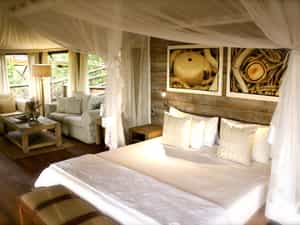Tented Suite