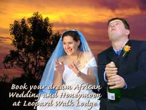 Spend your Honeymoon at Leopard Walk Lodge