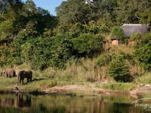Ele's outside one of our Riverside Suites