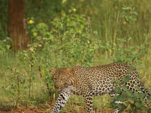 one of the many sights to see at Ziwa Rhino Sanctuary