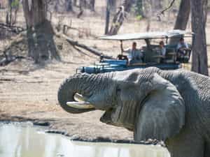 Game Drive