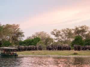 Boat Safari
