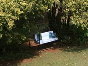 The bench between the trees