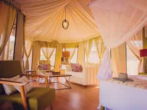 Interior View Guest Tent Ehlane Plains Camp