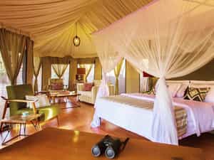 Spacious and Elegantly furnished for the Discerning Traveler