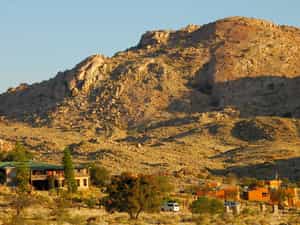 The Desert Horse Inn is just 20 km away from the habitat of the Wild Horses.