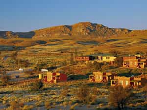 Desert Horse Inn consists of 24 spacious and tastefully decorated en suite rooms.