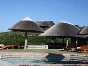 Swimming Pool by the Bar 