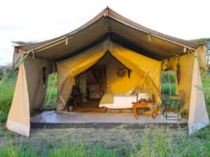 Light, airy and comfortable
