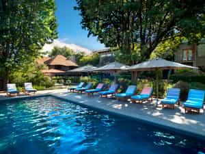 Larger lap pool with sun loungers and umbrellas